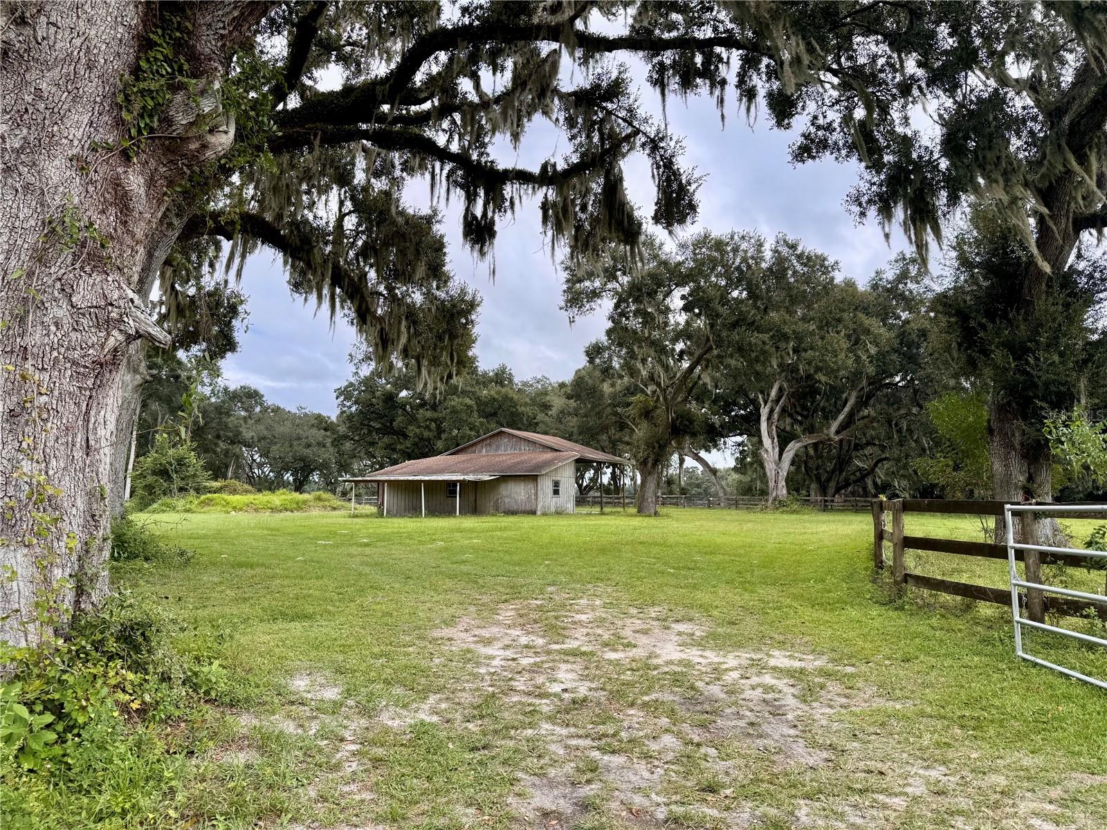 553 NE 205TH AVE, WILLISTON, FL — photo 50