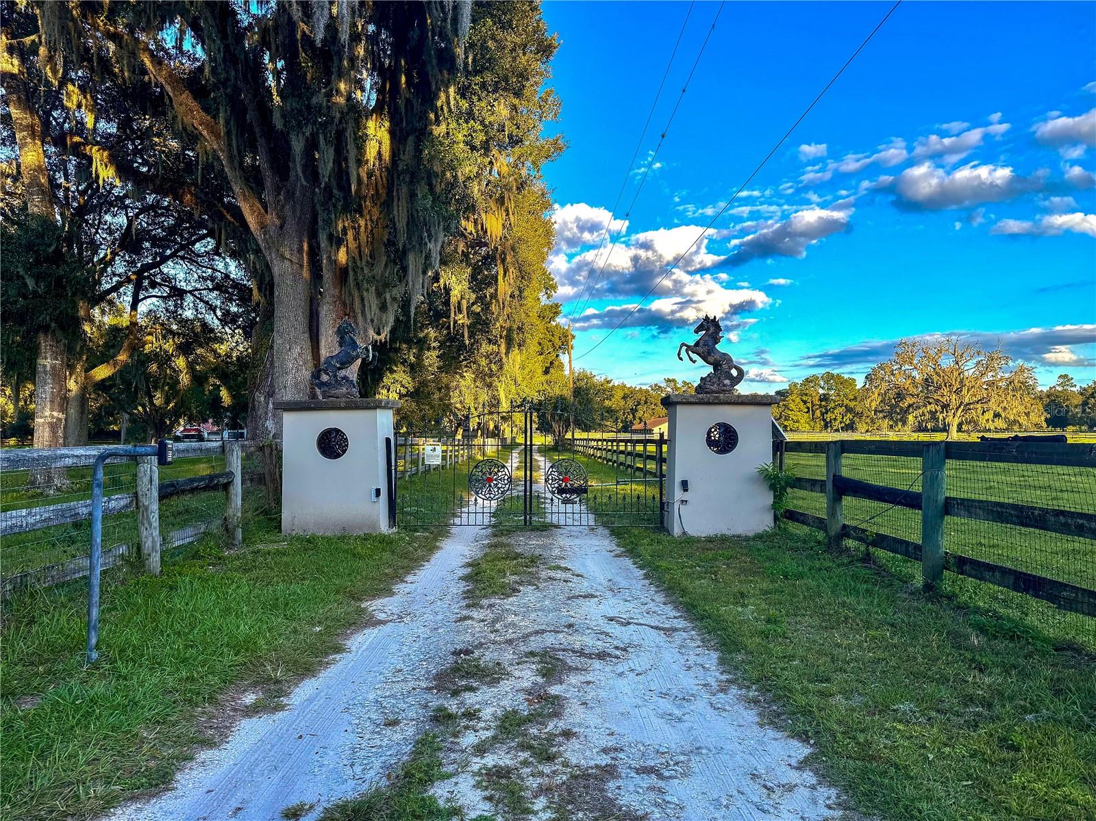 553 NE 205TH AVE, WILLISTON, FL — photo 59