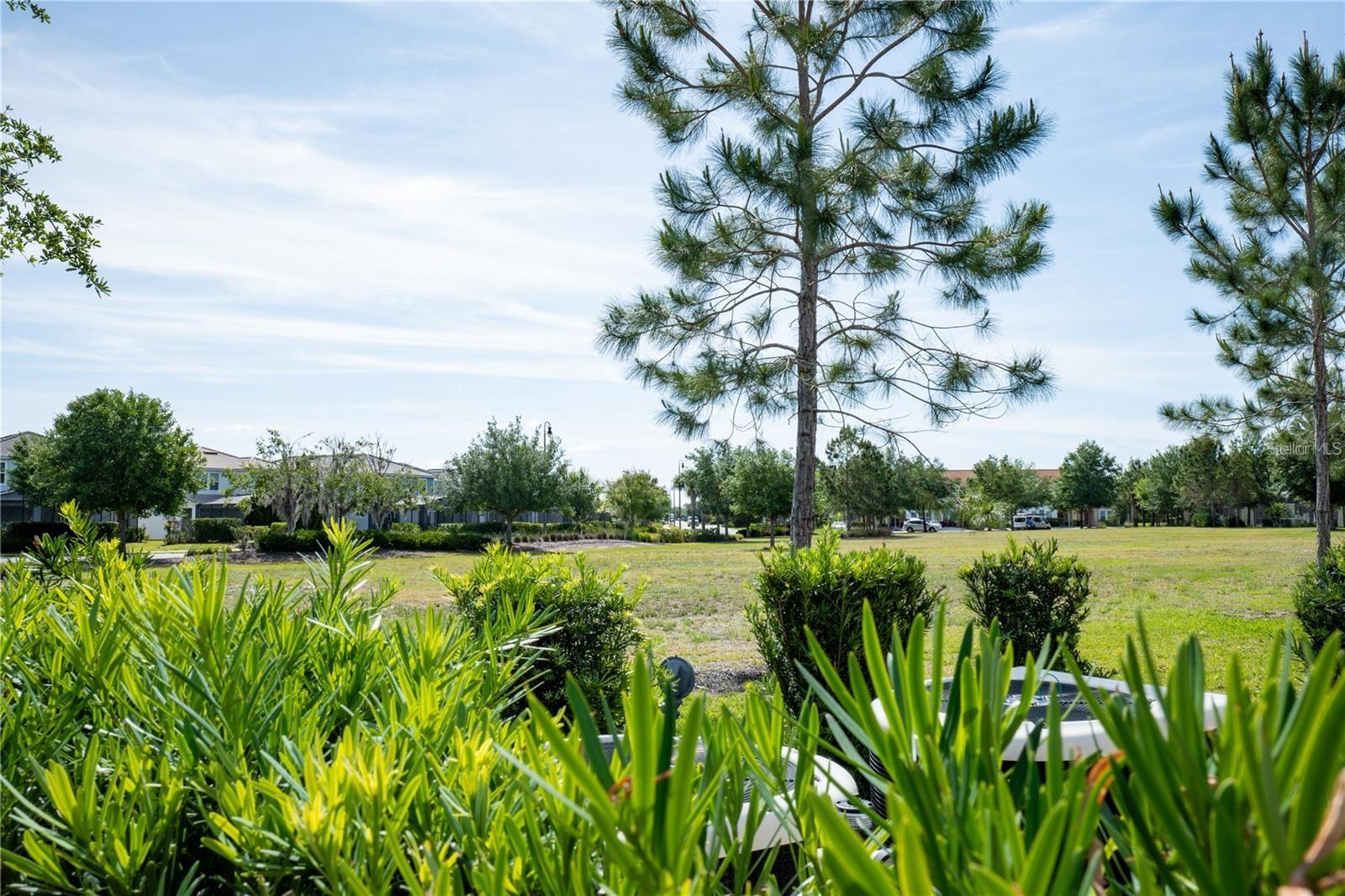 4678 TERRASONESTA DR, DAVENPORT, FL — photo 29