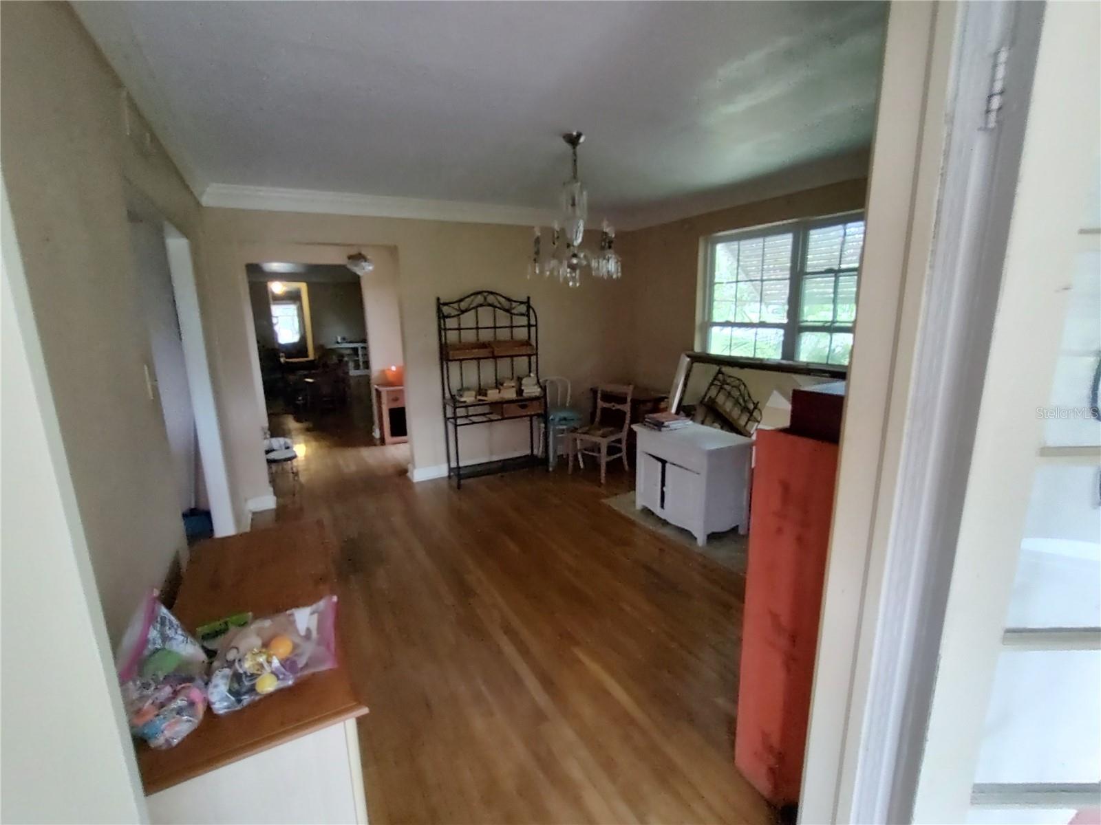 995 W 11TH AVE, MOUNT DORA, FL — photo 34