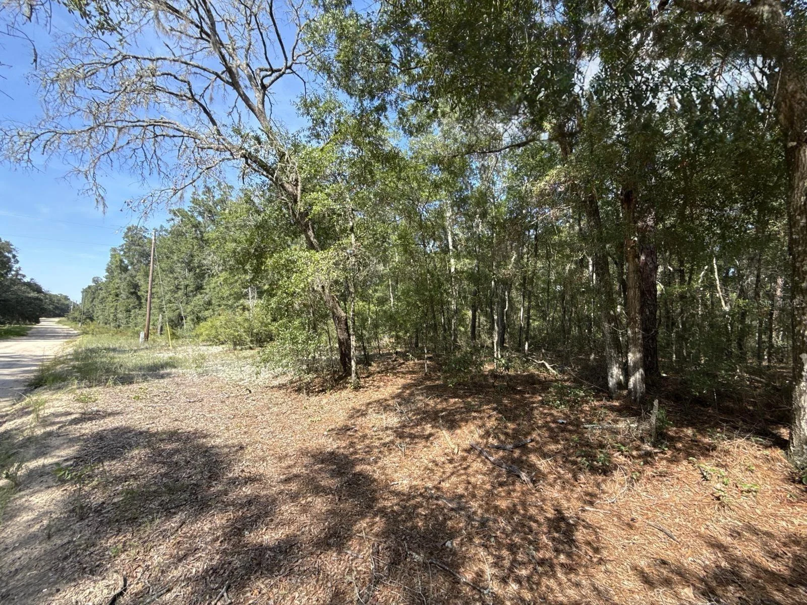 GLORIA AVE, INTERLACHEN, FL — photo 3
