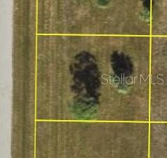 6 ELM DR, PLACIDA, FL — photo 3