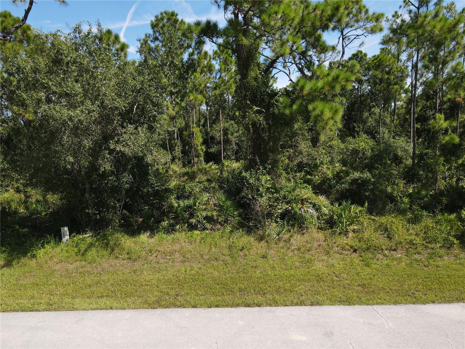 27064 VALENCIA DR, PUNTA GORDA, FL
