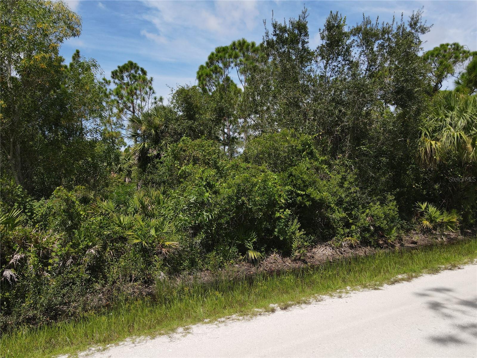 12301 LOS OLAS DR, PUNTA GORDA, FL — photo 3