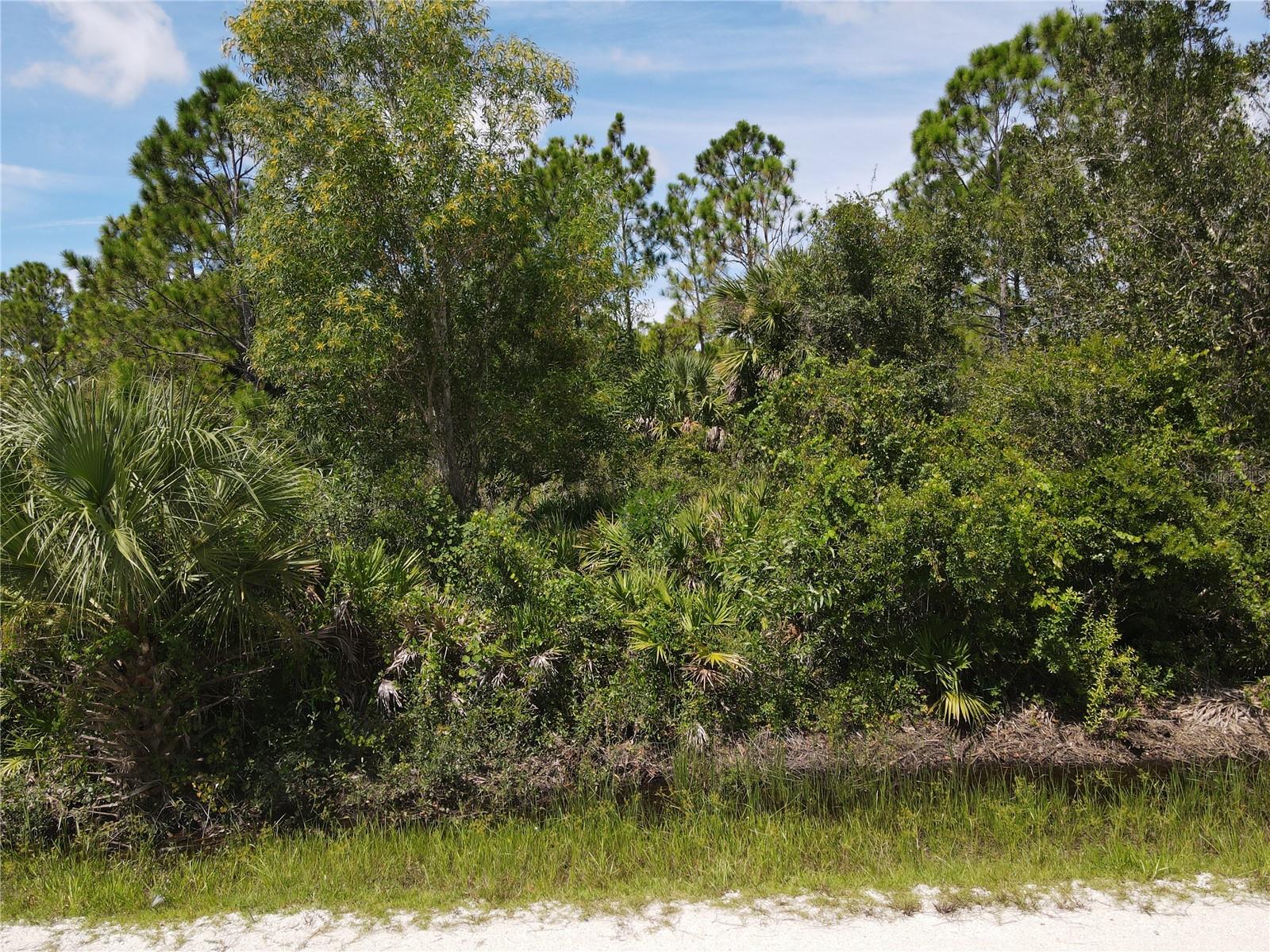 12301 LOS OLAS DR, PUNTA GORDA, FL — photo 5