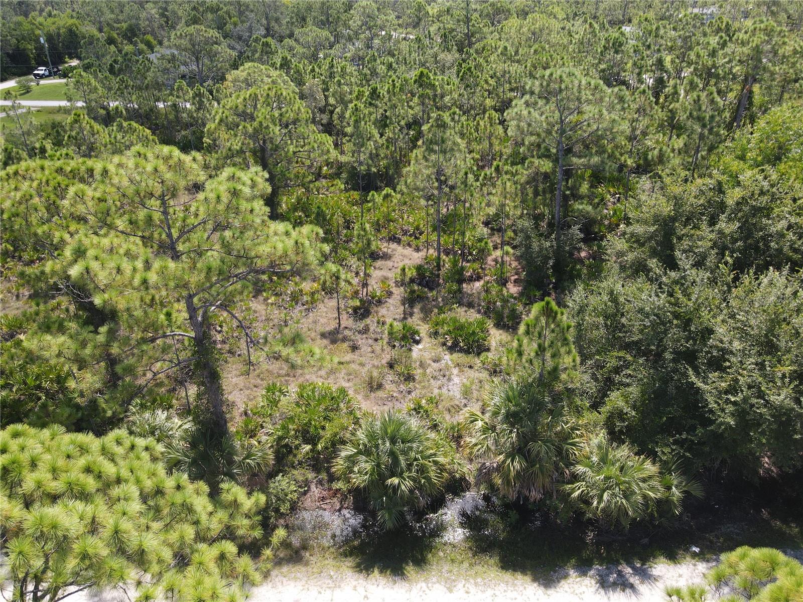12260 ESCUELA DR, PUNTA GORDA, FL