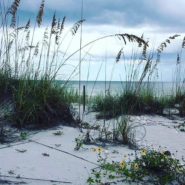 20 N GULF BLVD, PLACIDA, FL — photo 115