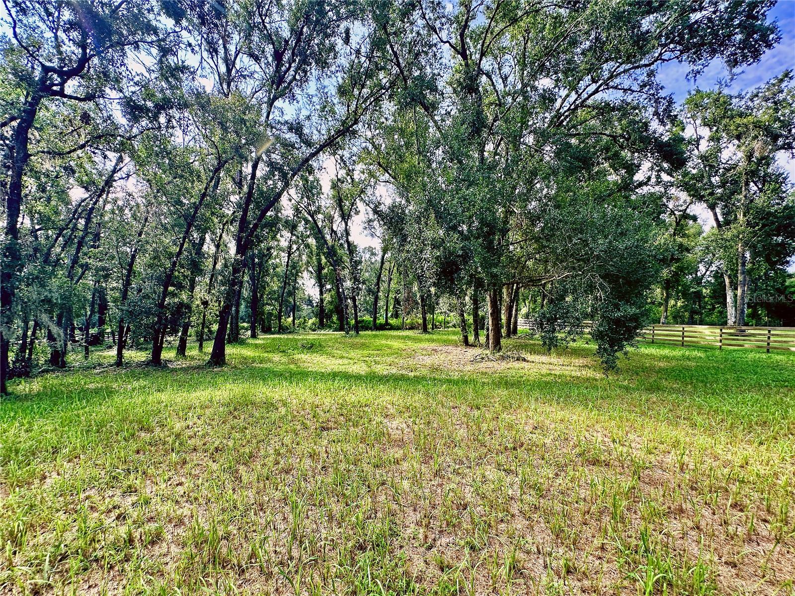 35174 ROTH LN, DADE CITY, FL — photo 6