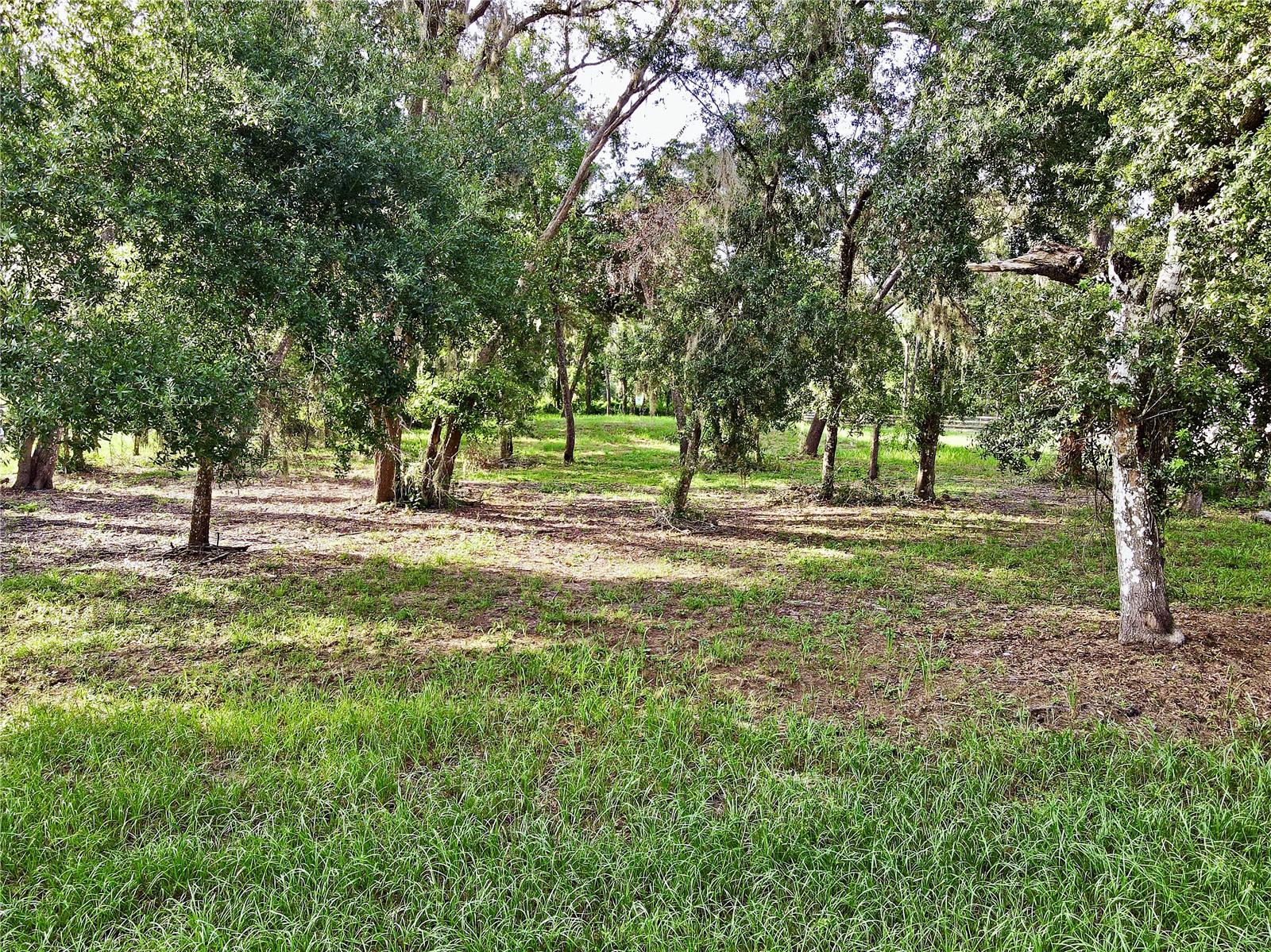 35174 ROTH LN, DADE CITY, FL — photo 7