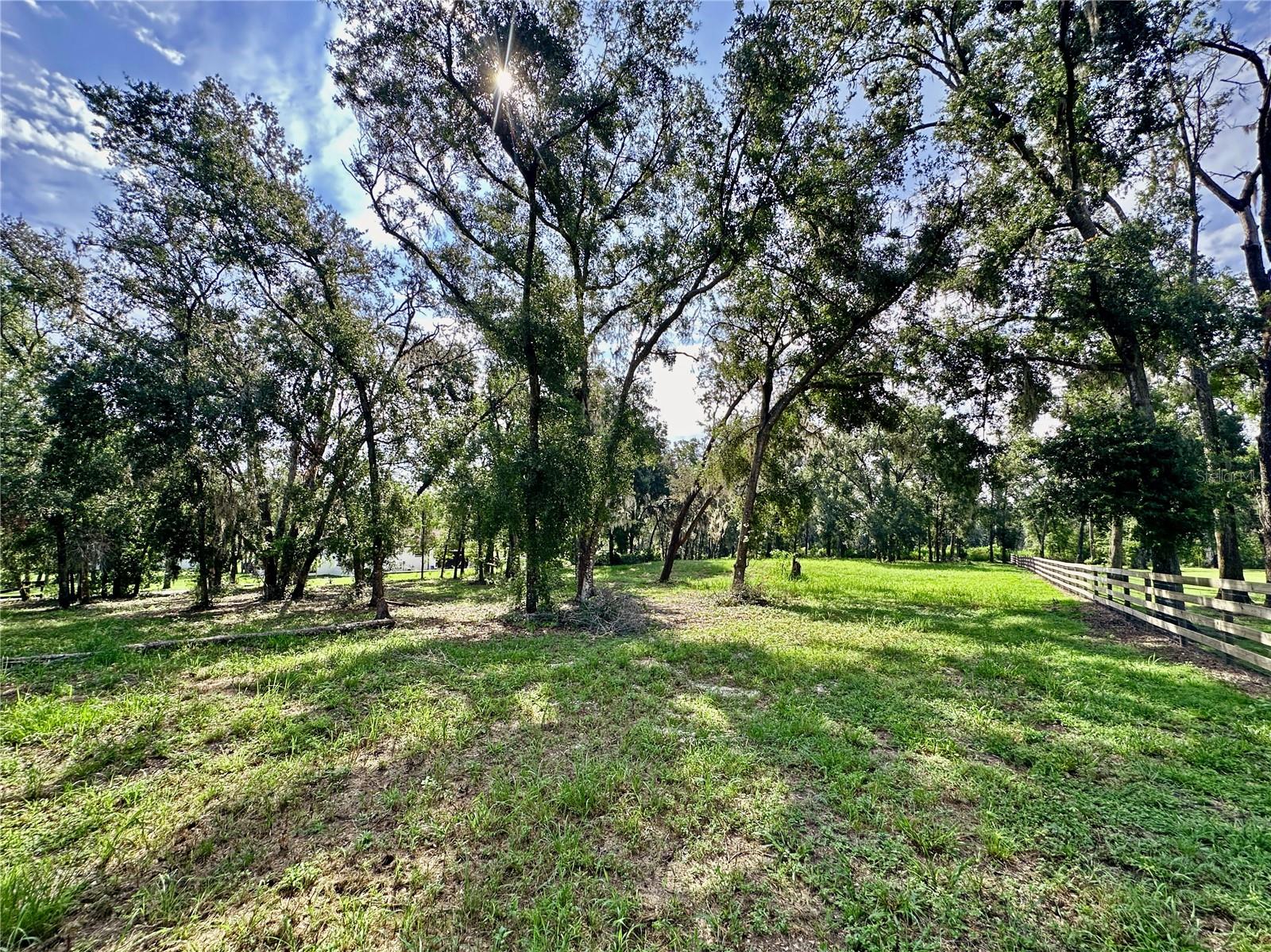 35174 ROTH LN, DADE CITY, FL — photo 8