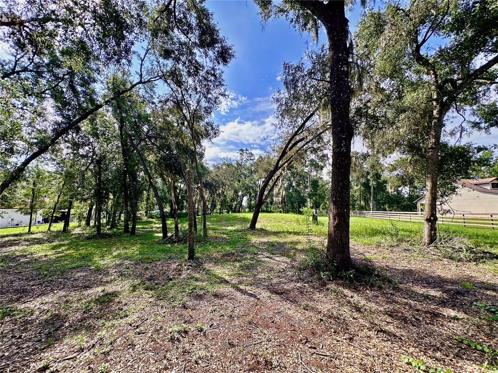 35174 ROTH LN, DADE CITY, FL — photo 18