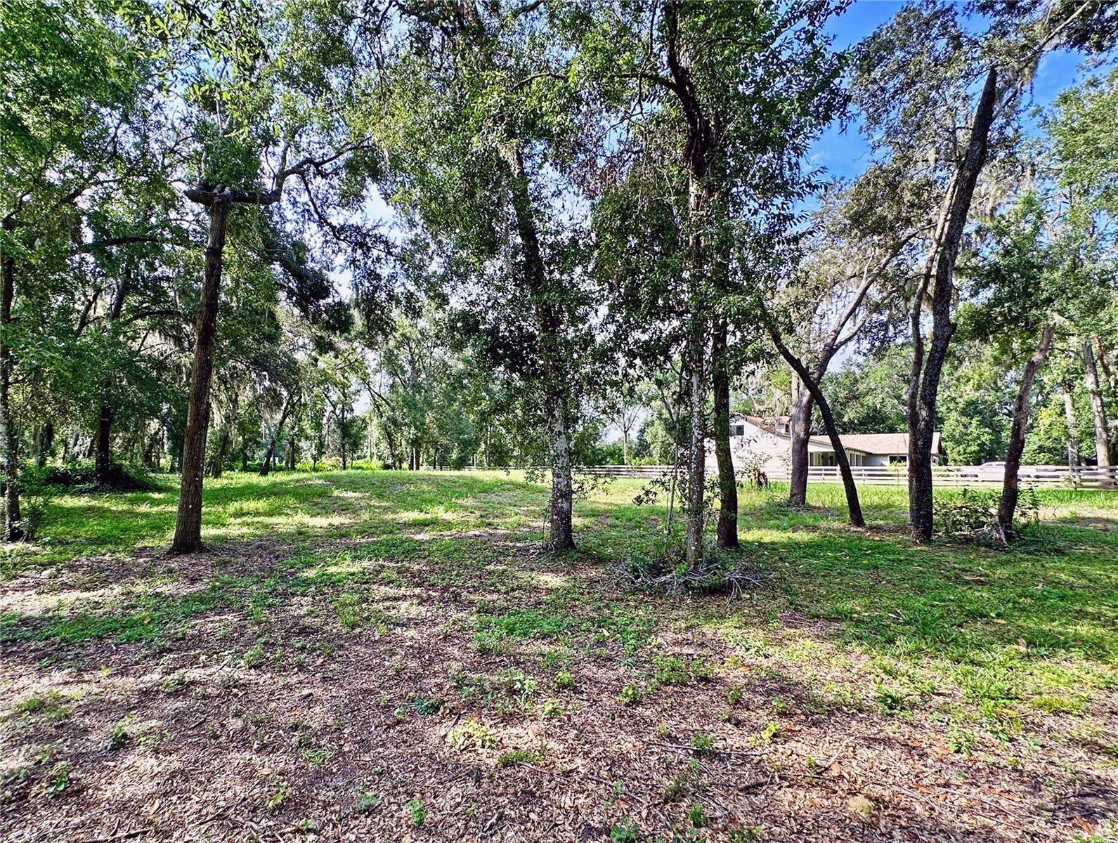 35174 ROTH LN, DADE CITY, FL — photo 19