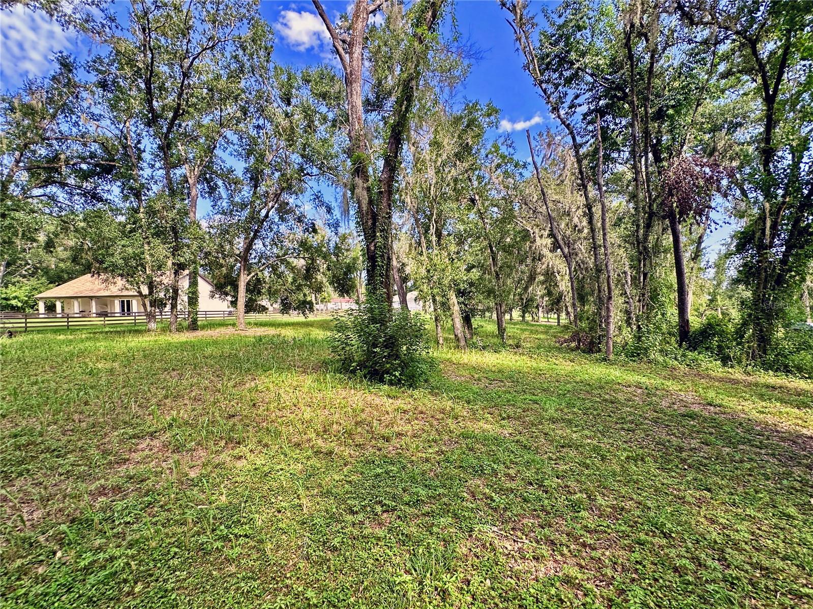 35174 ROTH LN, DADE CITY, FL — photo 20