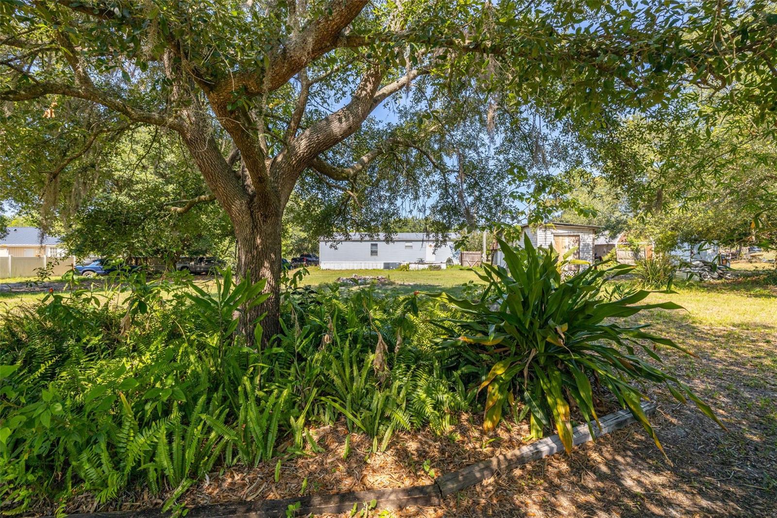 7308 BOYETTE RD, WESLEY CHAPEL, FL — photo 33