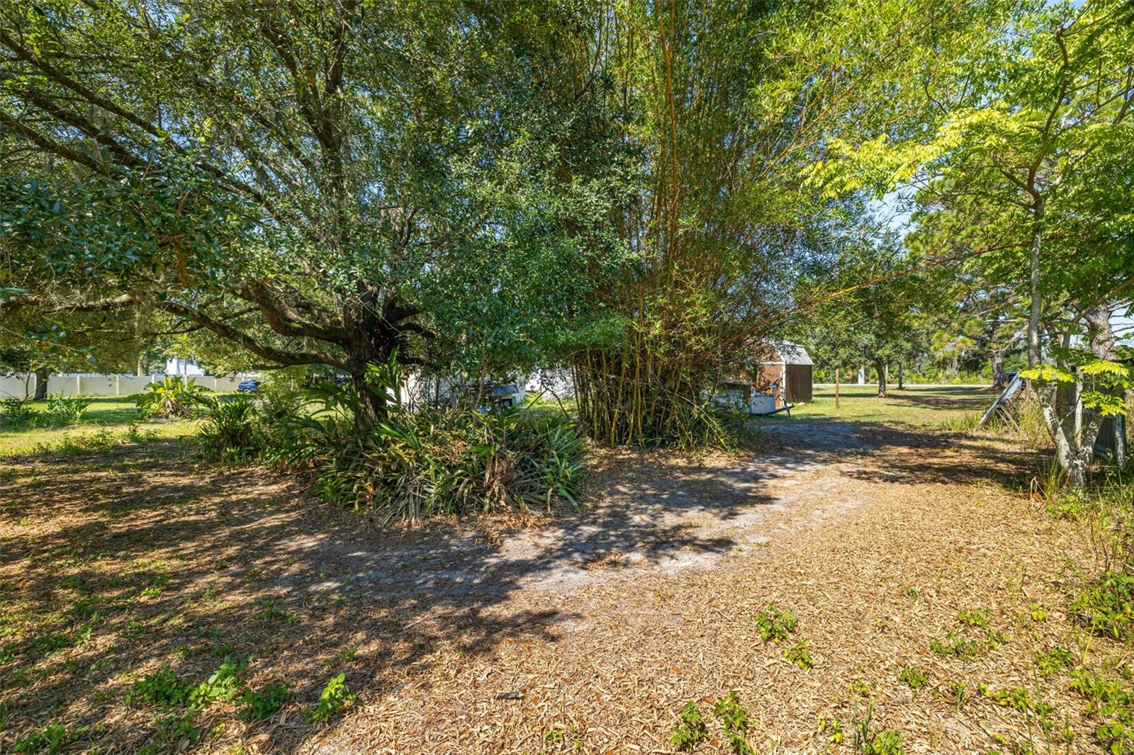 7308 BOYETTE RD, WESLEY CHAPEL, FL — photo 37