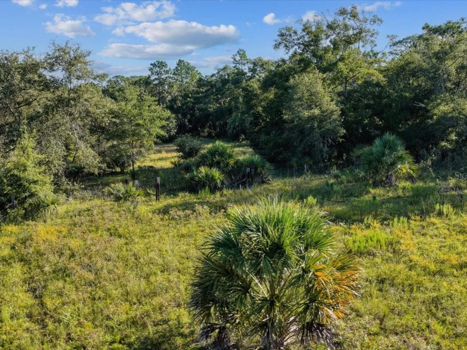 NE HWY 27TH, BRONSON, FL — photo 21