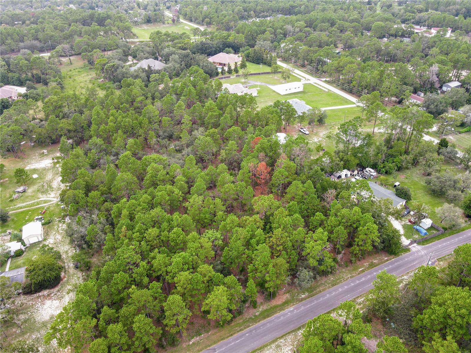 5411 NODOC RD, SPRING HILL, FL — photo 2