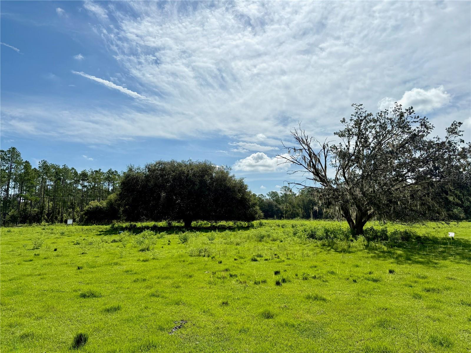 10460 EHREN CUTOFF, LAND O LAKES, FL