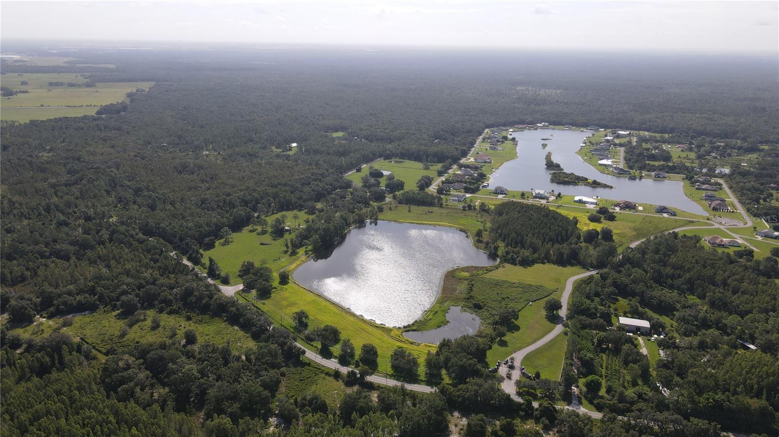 10460 EHREN CUTOFF, LAND O LAKES, FL — photo 8