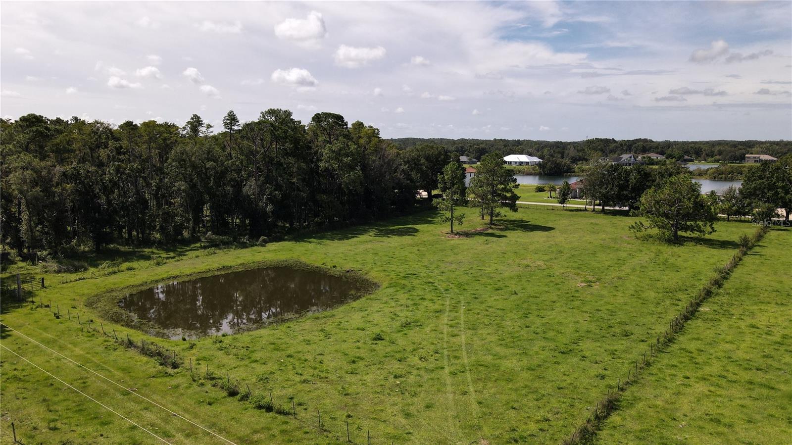 10460 EHREN CUTOFF, LAND O LAKES, FL — photo 30