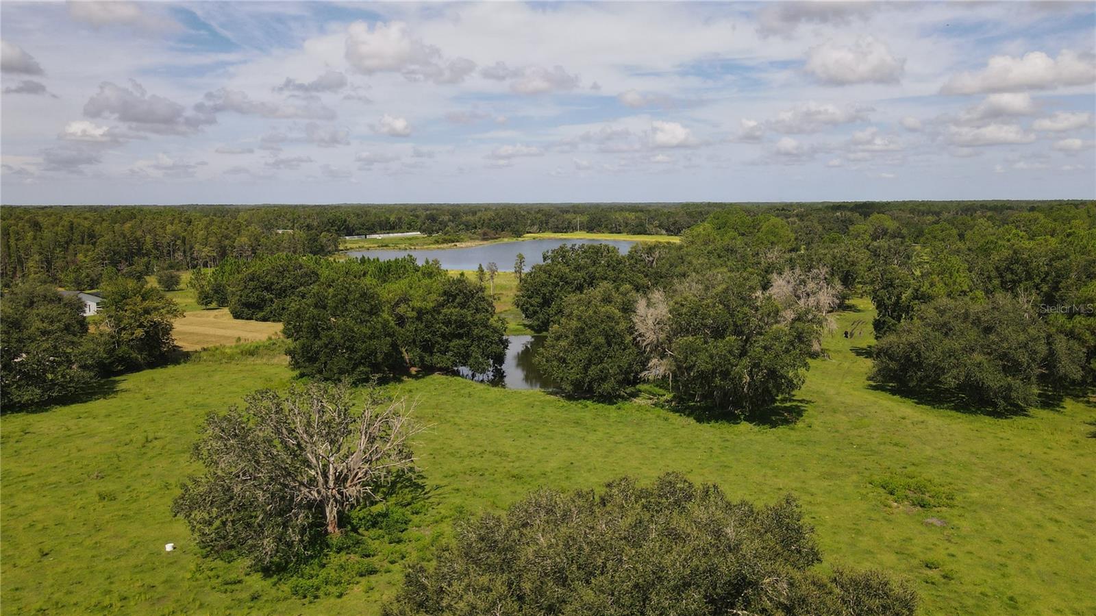 10460 EHREN CUTOFF, LAND O LAKES, FL — photo 32