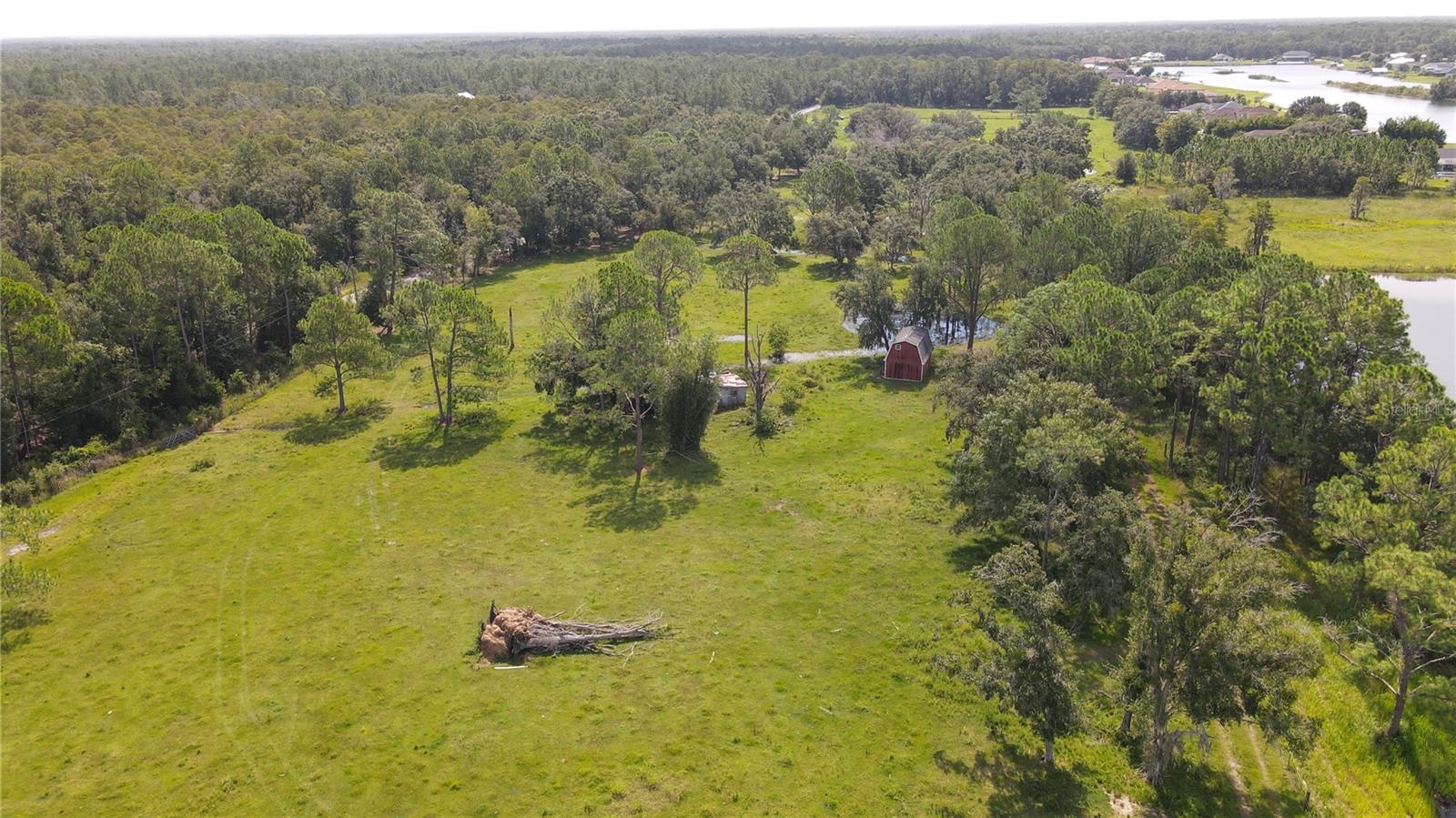 10460 EHREN CUTOFF, LAND O LAKES, FL — photo 33