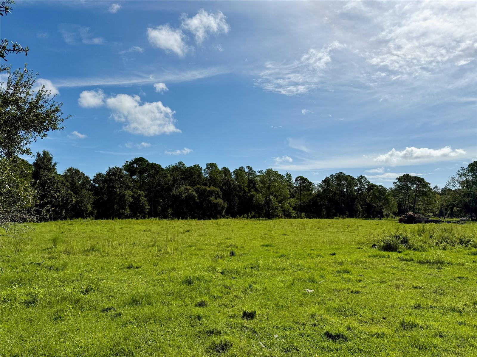 10460 EHREN CUTOFF, LAND O LAKES, FL — photo 49