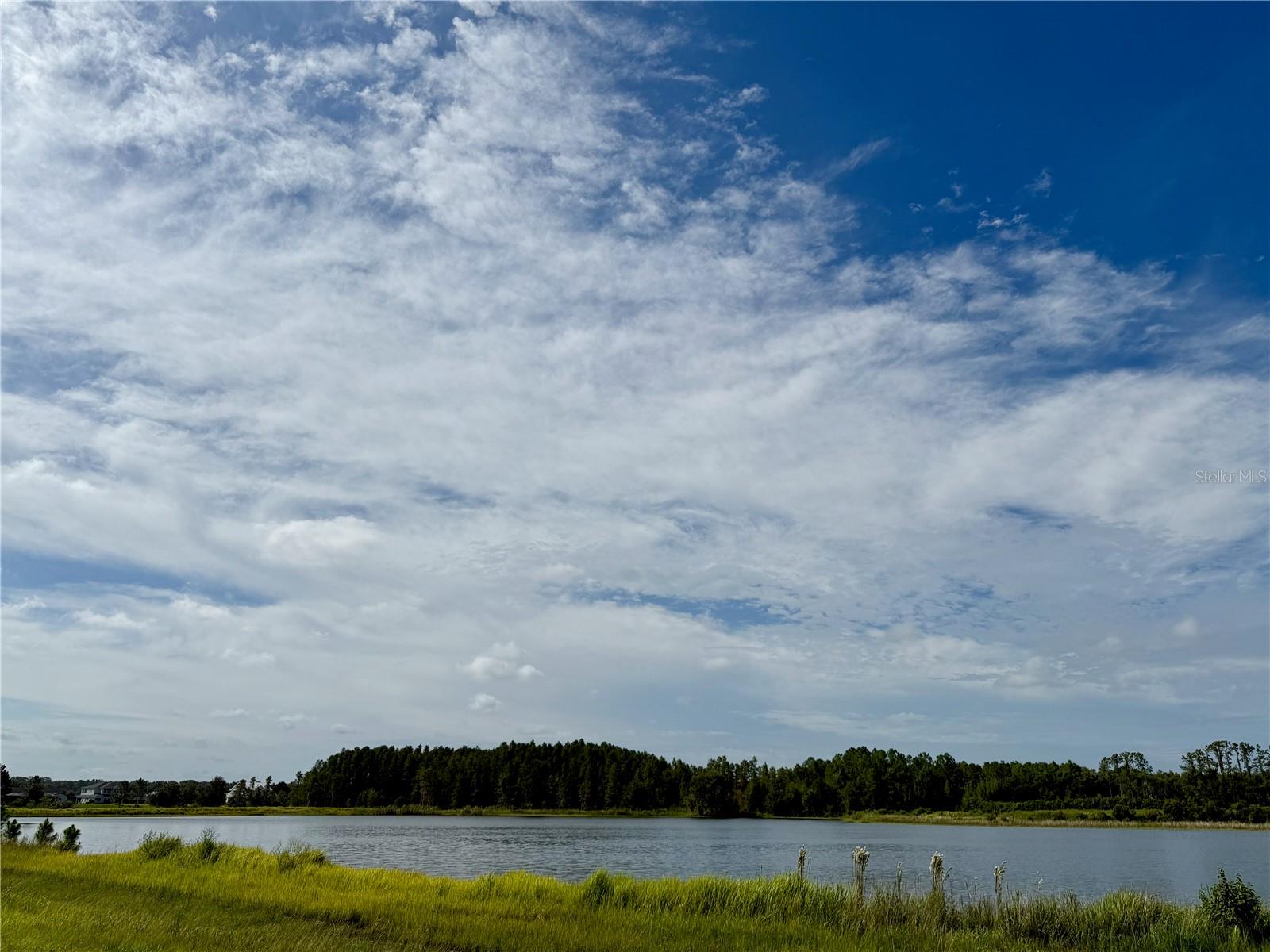 10460 EHREN CUTOFF, LAND O LAKES, FL — photo 52