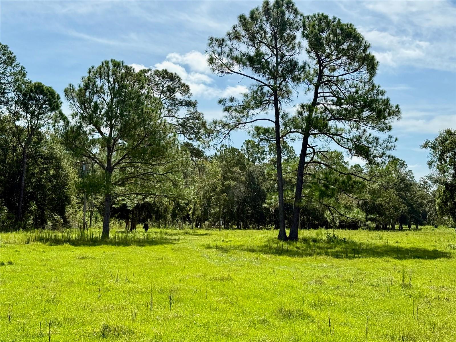 10460 EHREN CUTOFF, LAND O LAKES, FL — photo 56