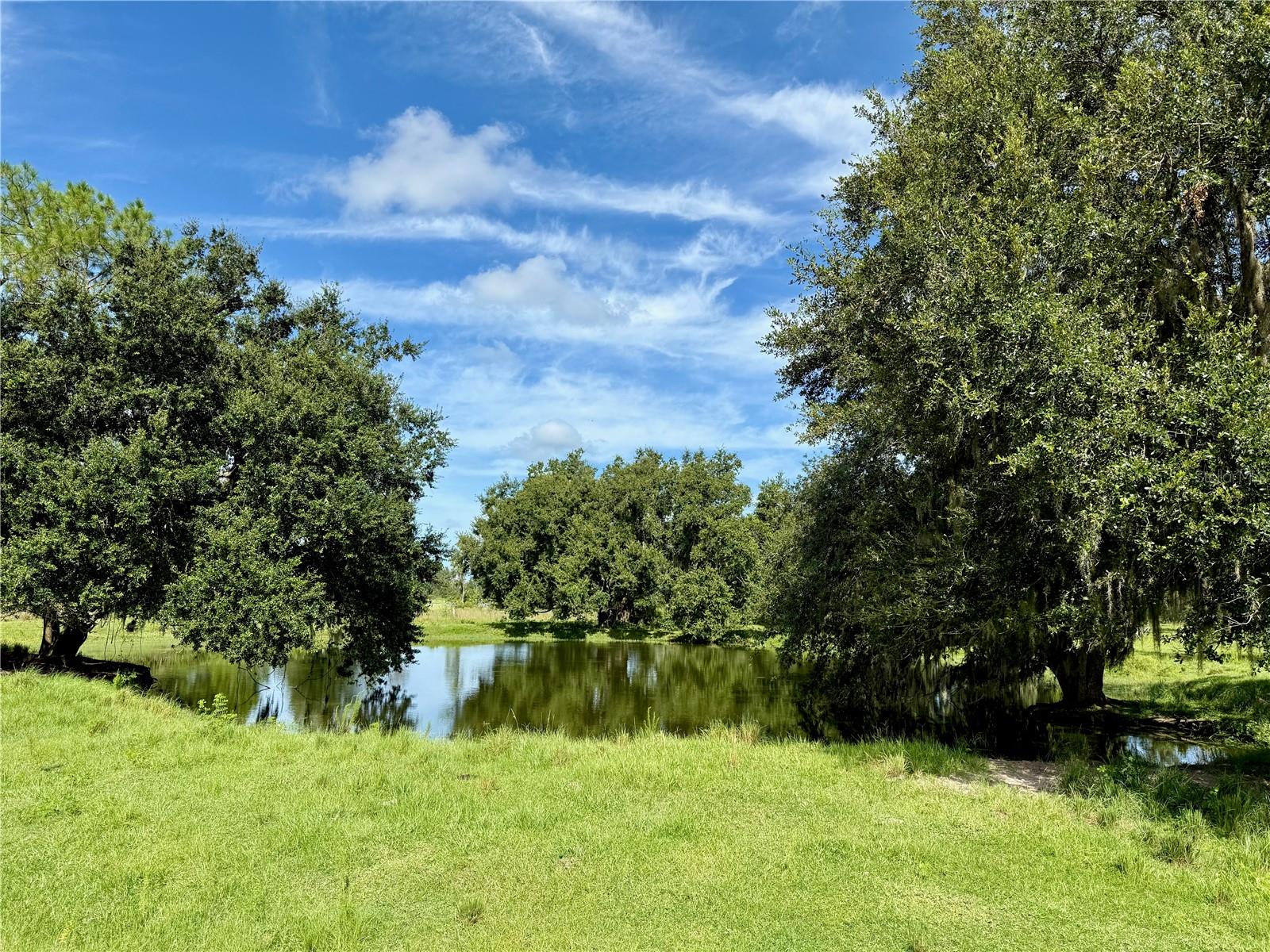 10460 EHREN CUTOFF, LAND O LAKES, FL — photo 57