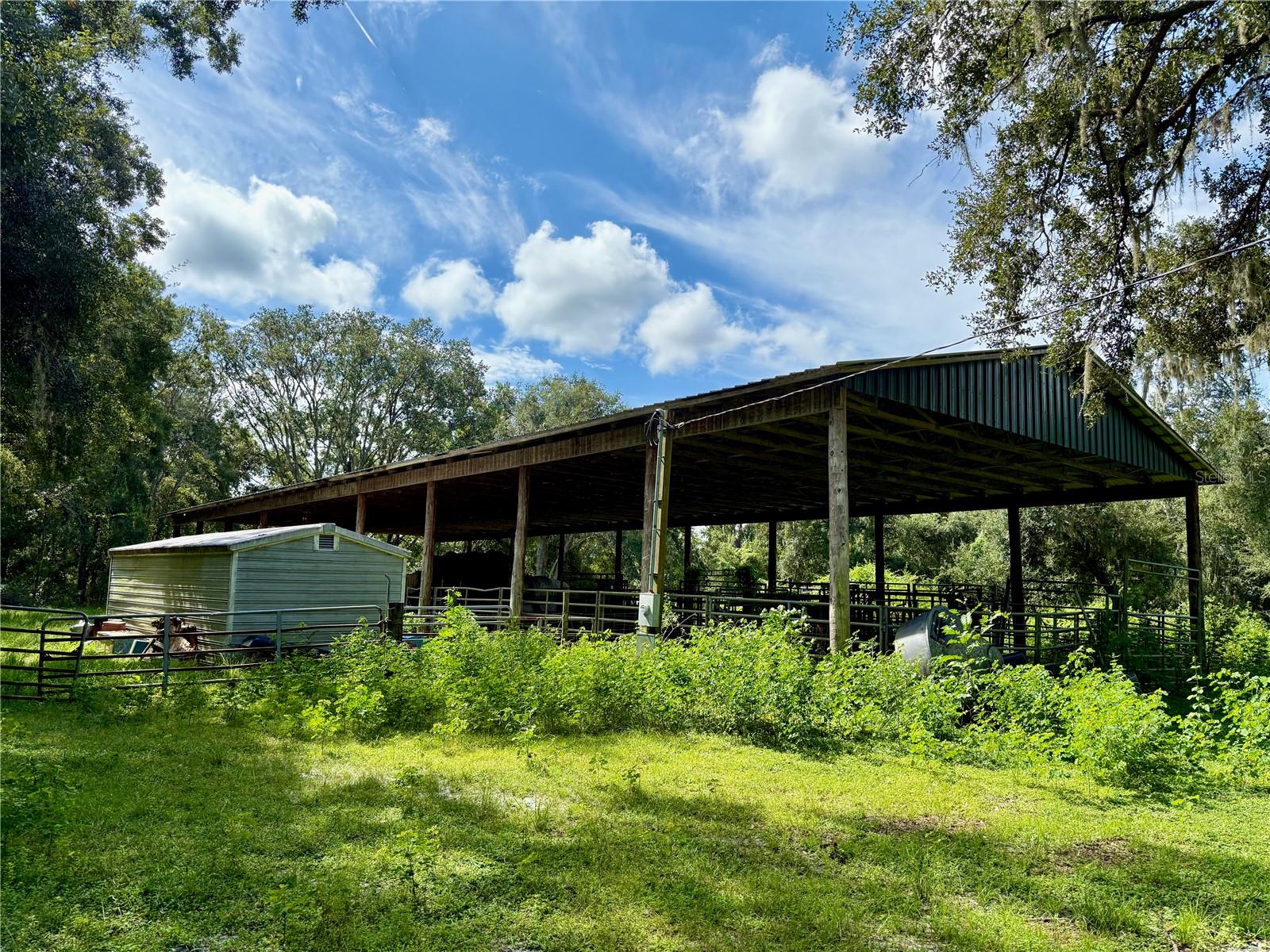 10460 EHREN CUTOFF, LAND O LAKES, FL — photo 59