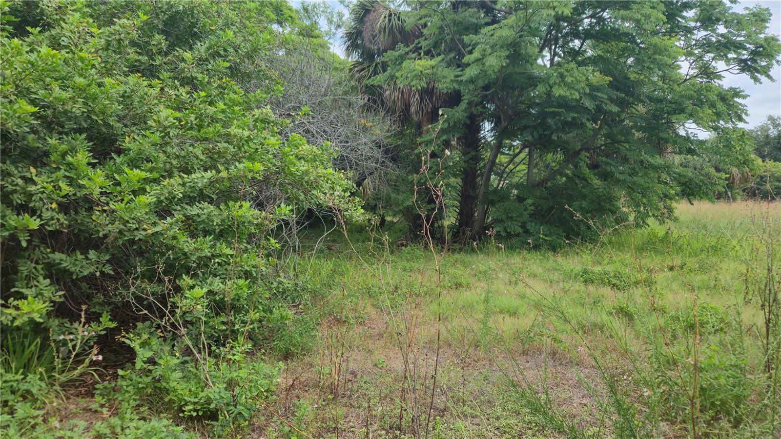 VILLA DR, HUDSON, FL — photo 9