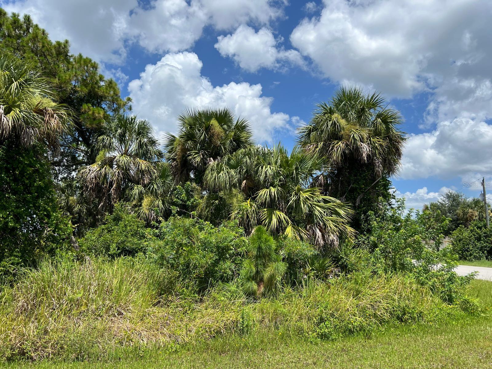 WATERLOO TER, NORTH PORT, FL