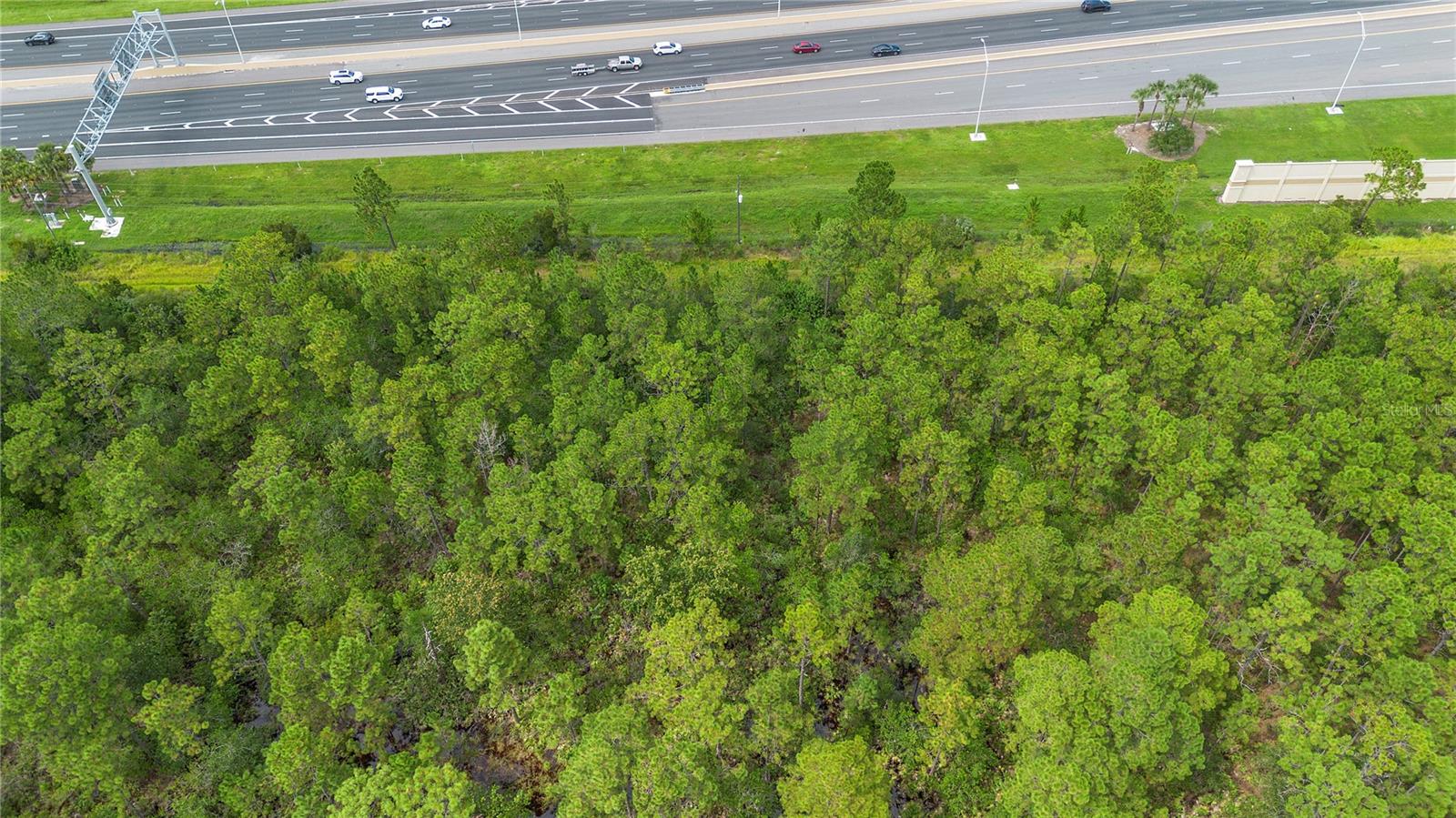 S APOPKA VINELAND RD, ORLANDO, FL — photo 16