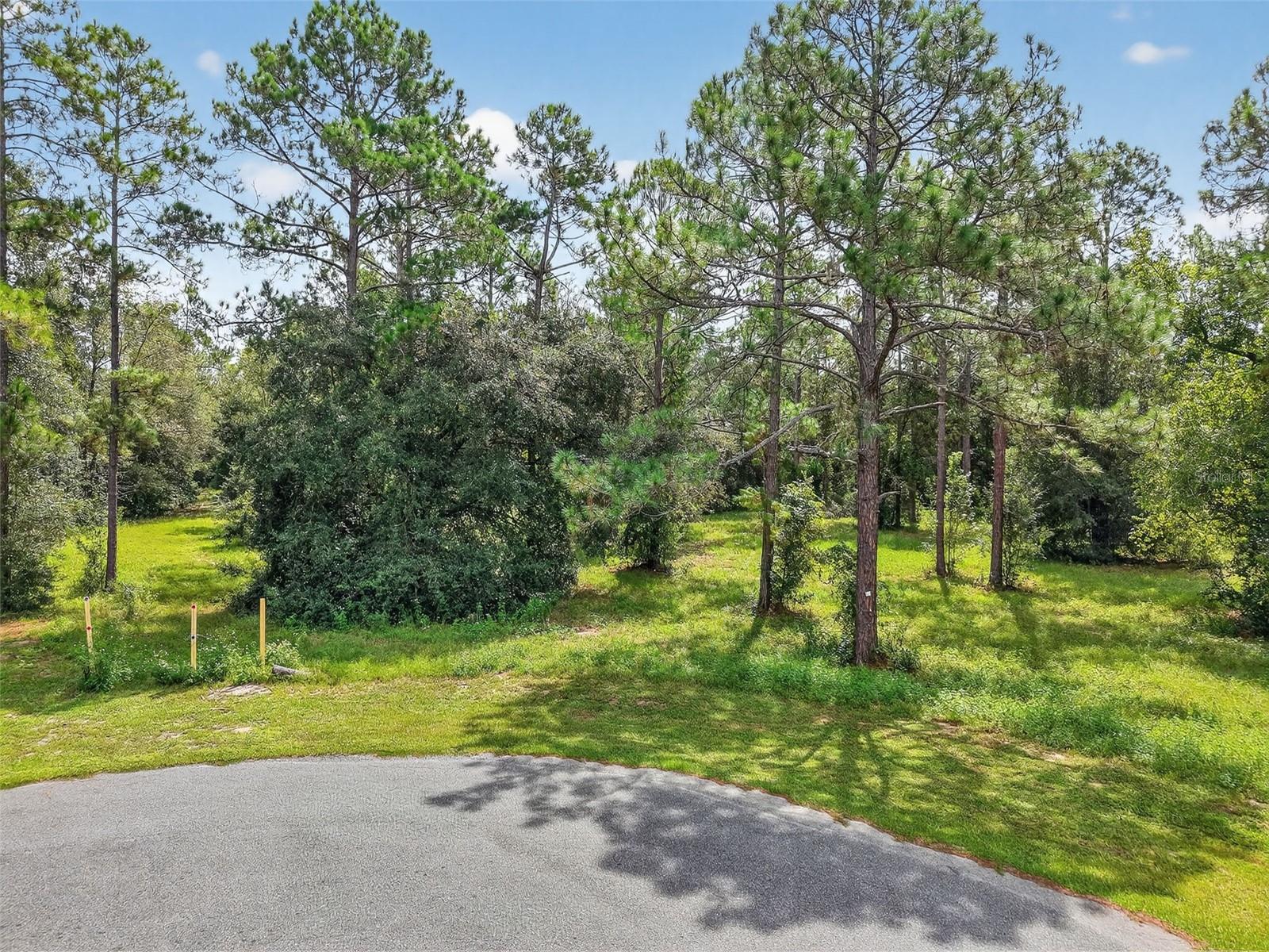 35734 HIGH PINES DR, EUSTIS, FL — photo 38