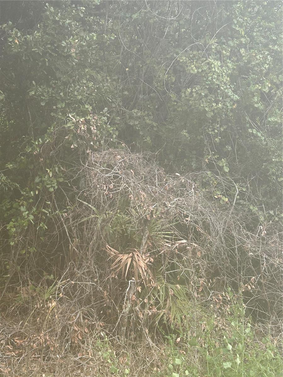 SE 105 PL, OCKLAWAHA, FL