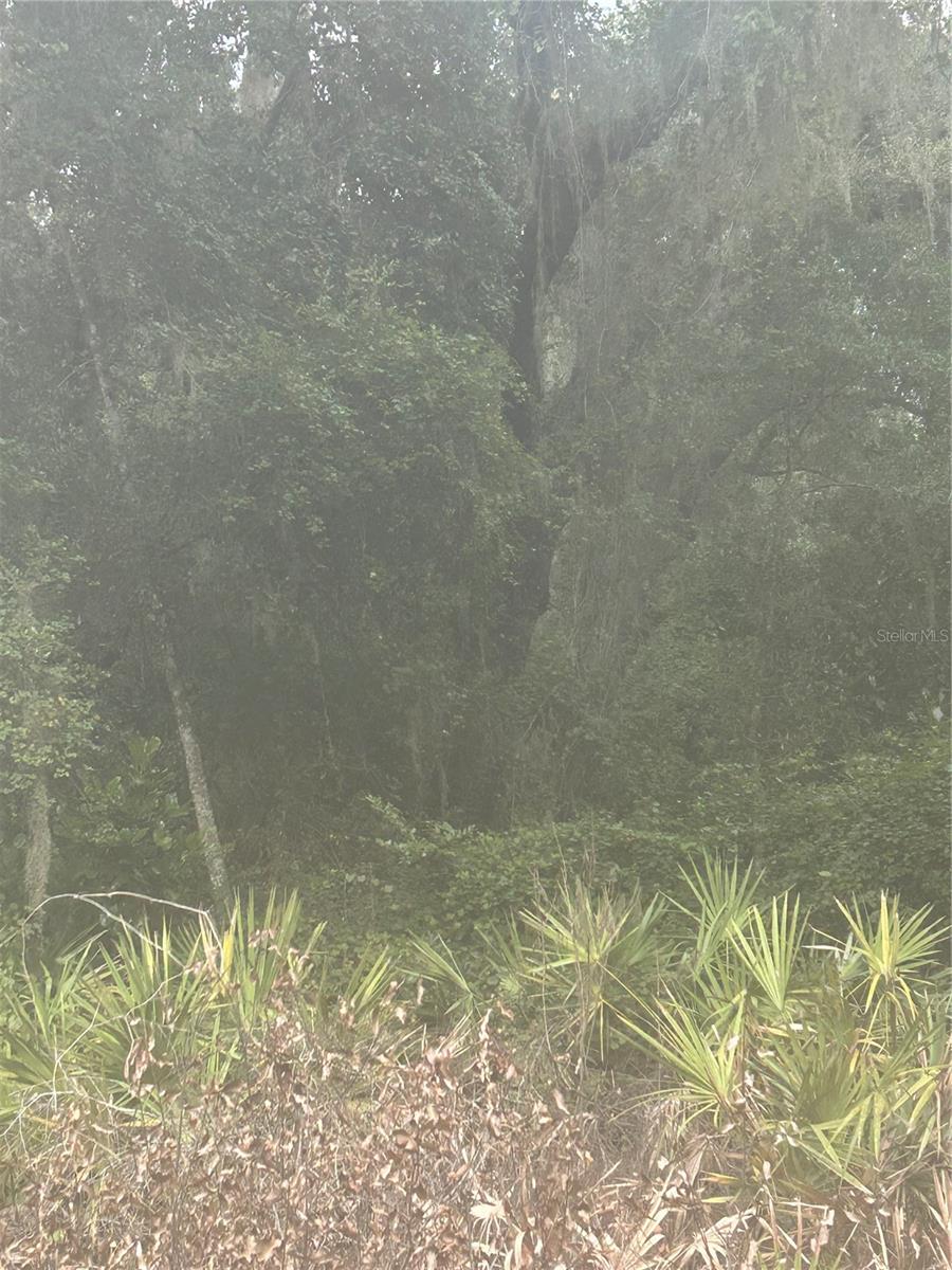 SE 105 PL, OCKLAWAHA, FL — photo 2