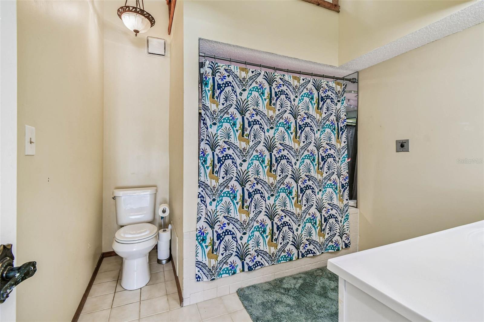 12134 CAPRI CIR S #803, TREASURE ISLAND, FL — photo 22