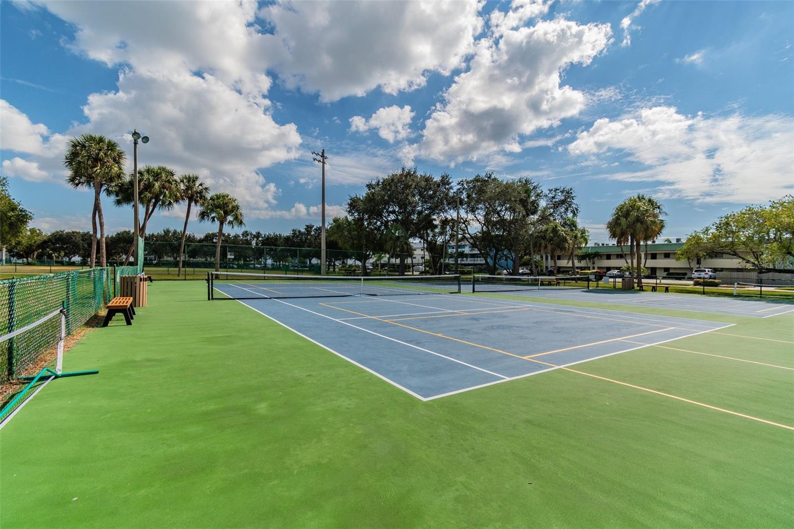 12134 CAPRI CIR S #803, TREASURE ISLAND, FL — photo 51