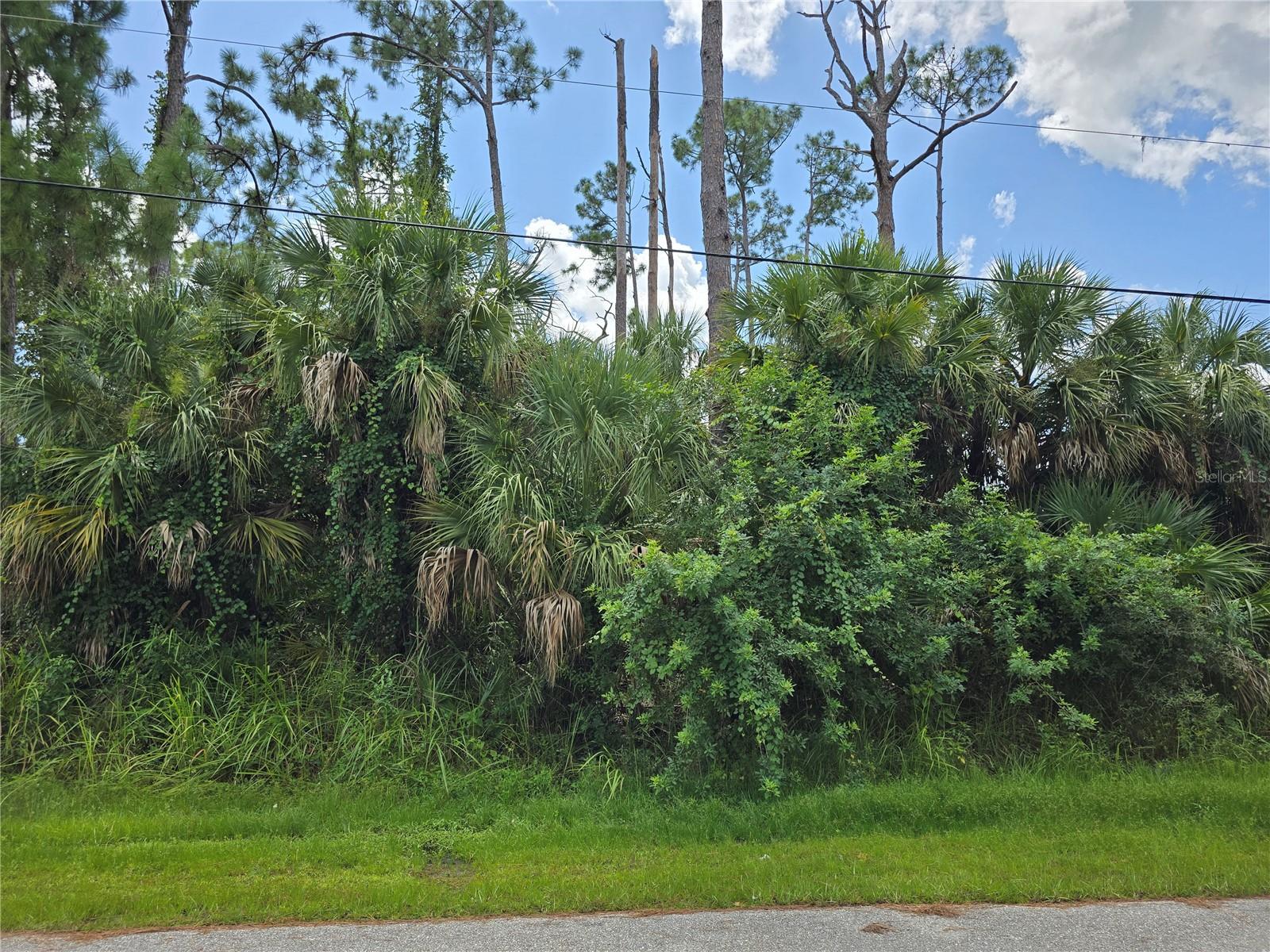 TRENTWOOD LN, NORTH PORT, FL — photo 4