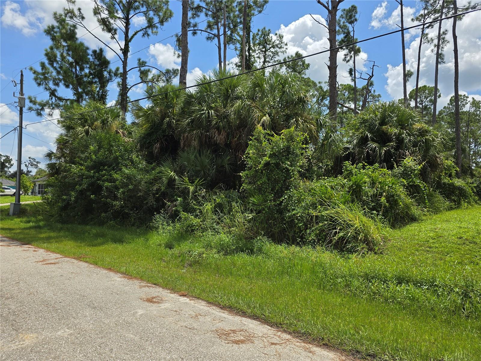 TRENTWOOD LN, NORTH PORT, FL — photo 5