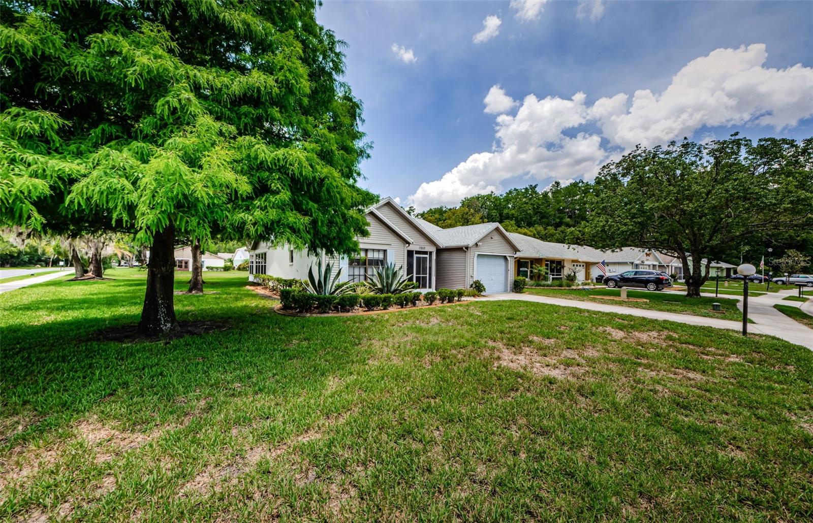 11805 LOBLOLLY PINE DR, NEW PORT RICHEY, FL — photo 3