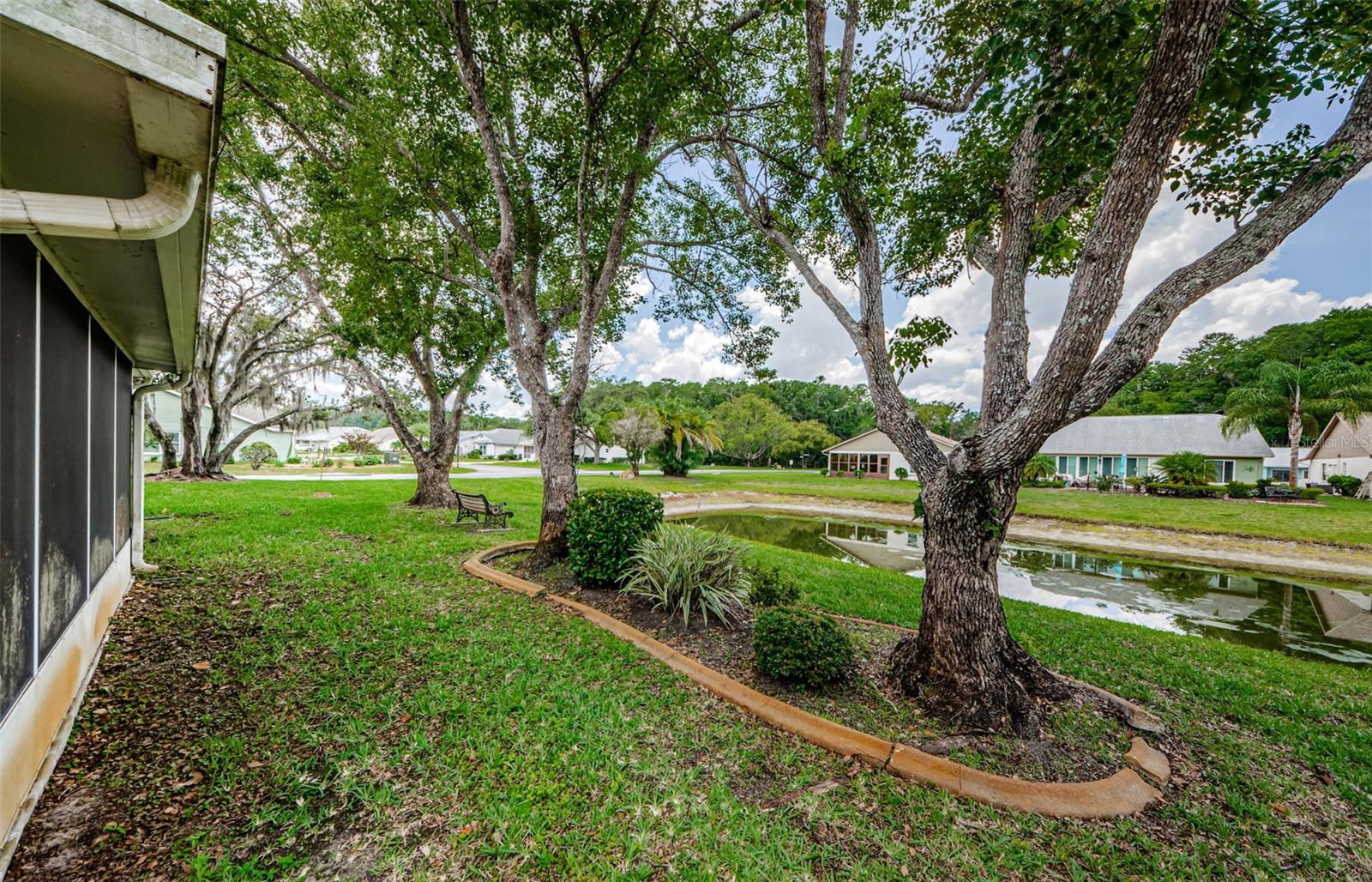 11805 LOBLOLLY PINE DR, NEW PORT RICHEY, FL — photo 40