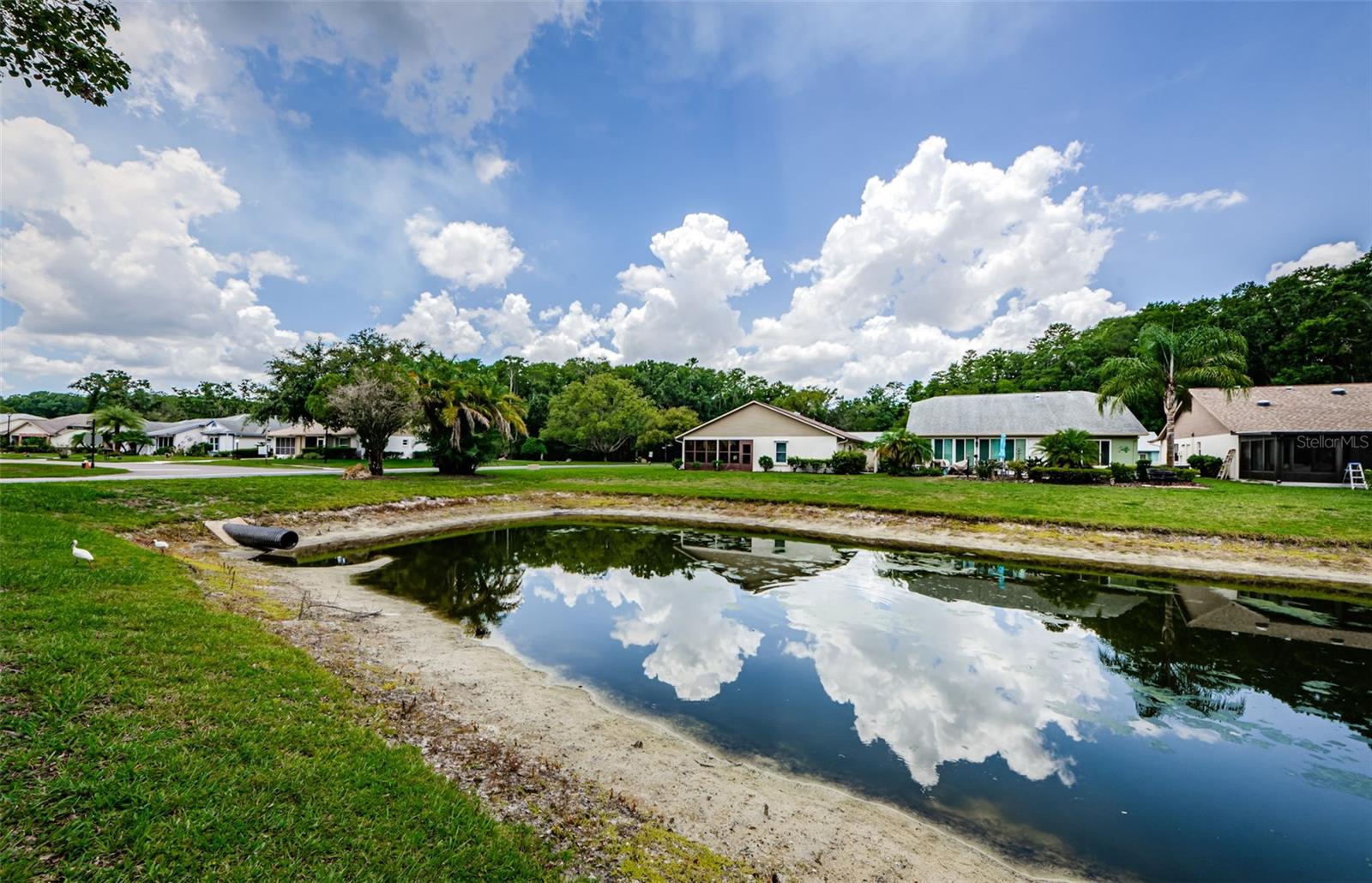 11805 LOBLOLLY PINE DR, NEW PORT RICHEY, FL — photo 41