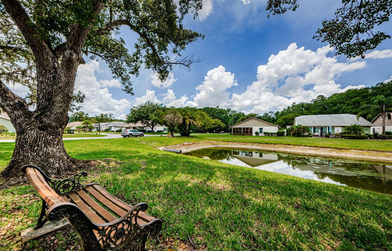 11805 LOBLOLLY PINE DR, NEW PORT RICHEY, FL — photo 44