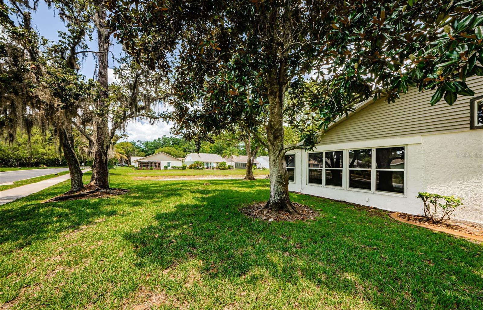 11805 LOBLOLLY PINE DR, NEW PORT RICHEY, FL — photo 45