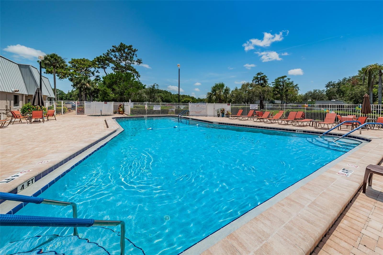 11805 LOBLOLLY PINE DR, NEW PORT RICHEY, FL — photo 53