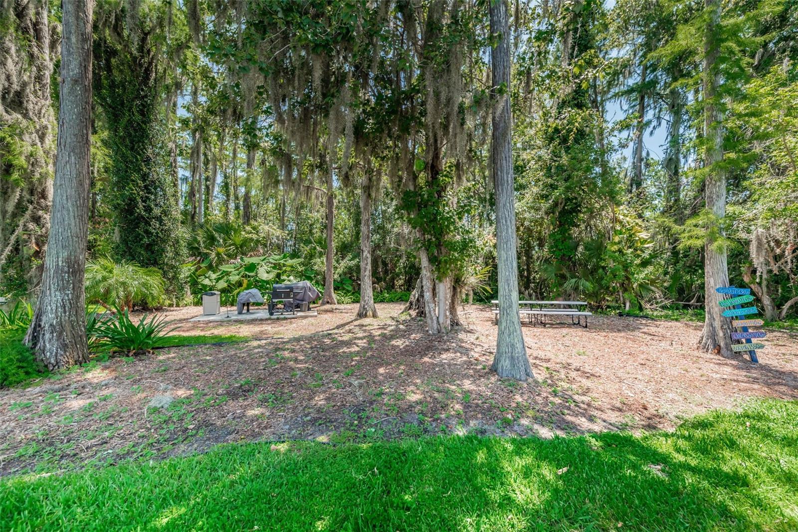 11805 LOBLOLLY PINE DR, NEW PORT RICHEY, FL — photo 87