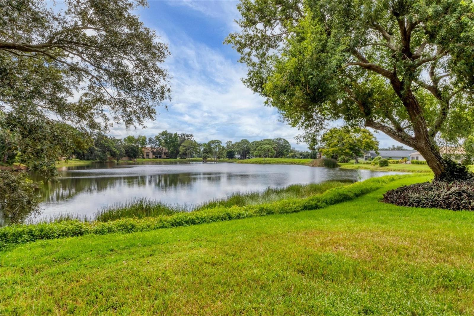 3244 RINGWOOD MDW #77, SARASOTA, FL — photo 32