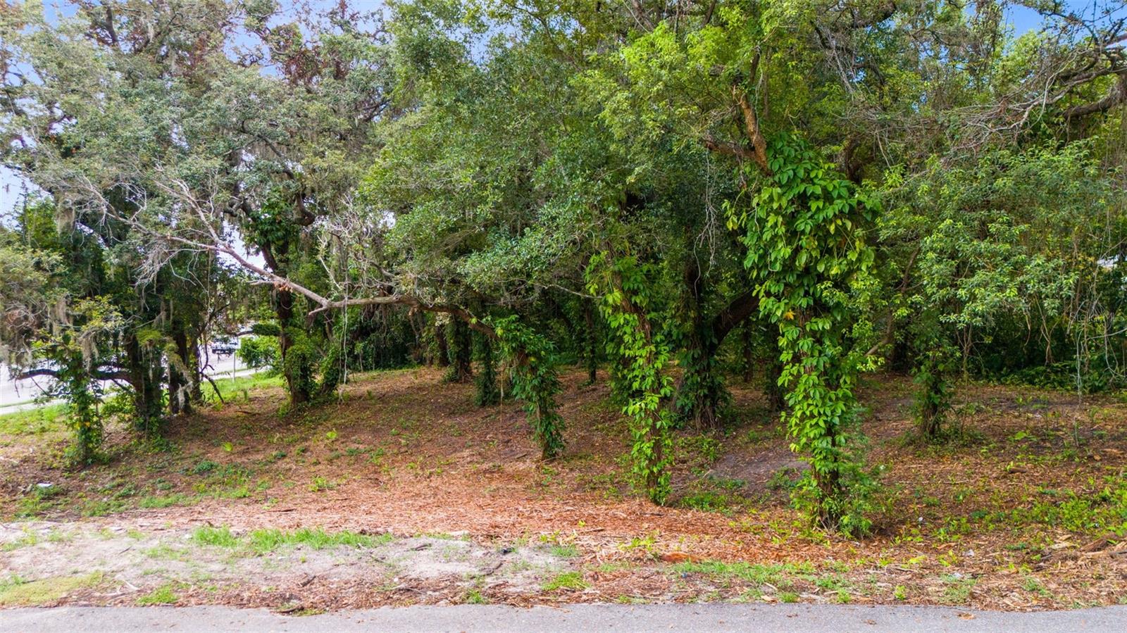 431 N HIAWASSEE RD, ORLANDO, FL — photo 7
